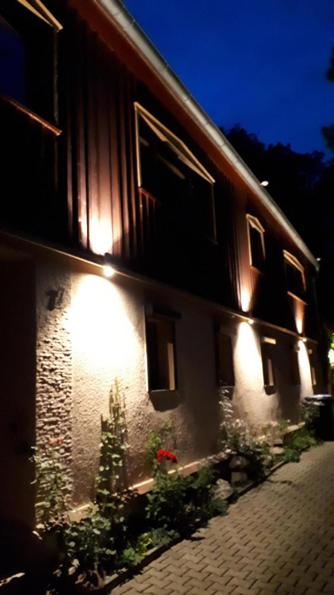 Bergnest Bungalow Bad Gottleuba-Berggiesshuebel Экстерьер фото